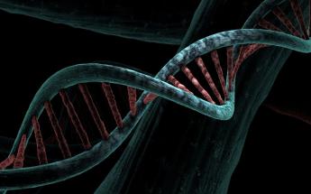 DNA Double Helix