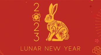 2023 is the Year of the Rabbit