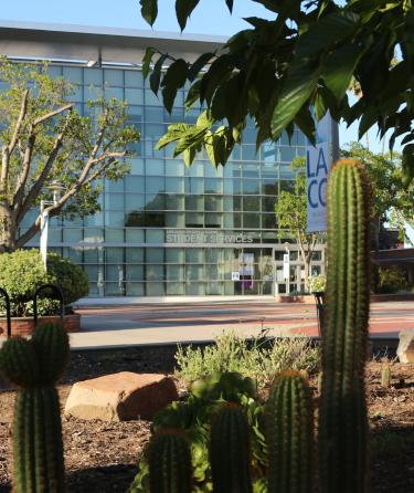 Student Services Garden