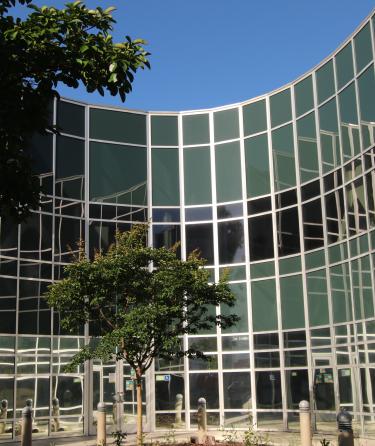 Building Campus with a Tree 