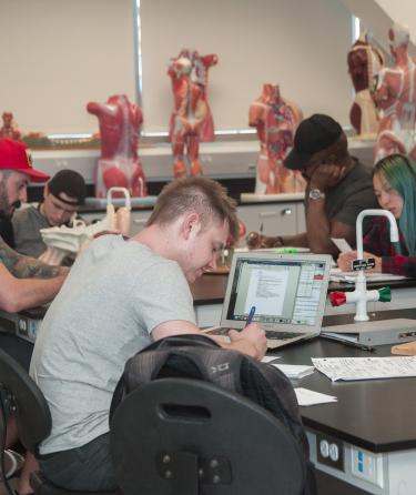 Students in classroom