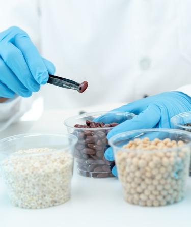 Food Chemical Laboratory