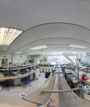 lab