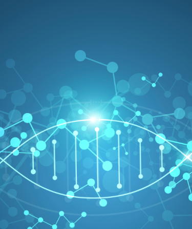 DNA Double Helix