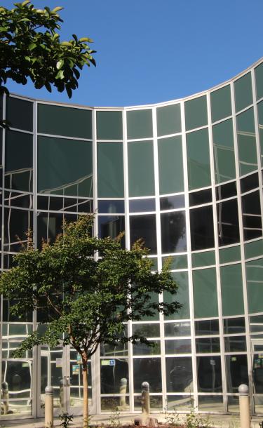 Building Campus with a Tree 