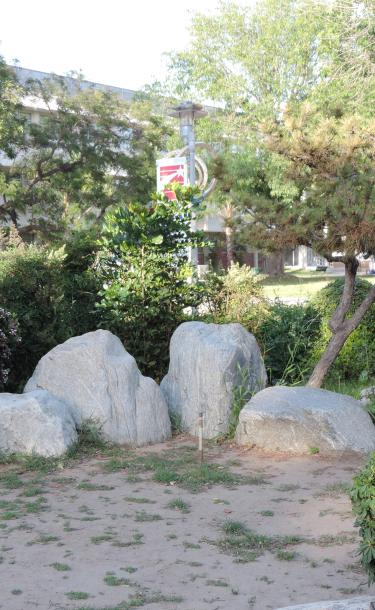 Campus Garden