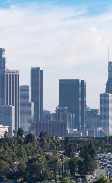 Downtown Los Angeles Skyline