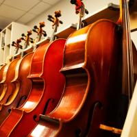 Cellos lined up on a stand
