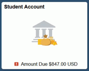 Student Account Icon