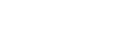 VitaNavis Logo