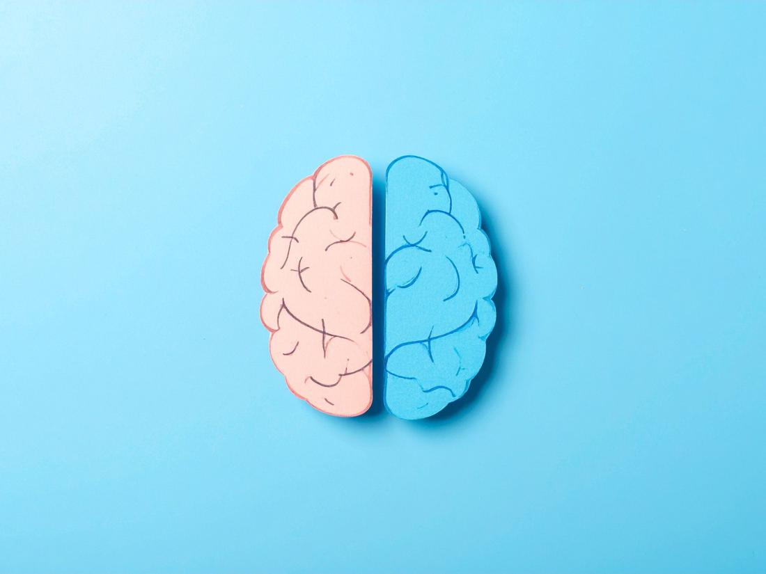 Drawing of brain emphasizing the two sides.