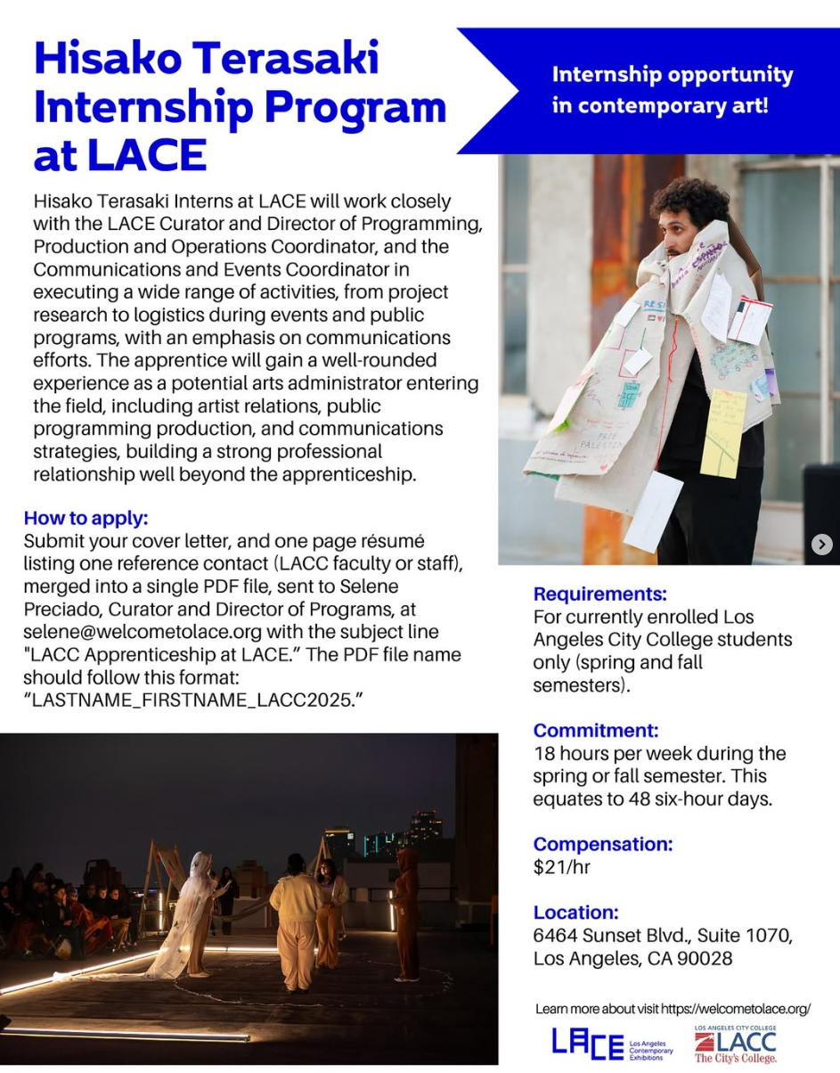 Hisako Terasaki Internship Program
