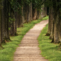 path
