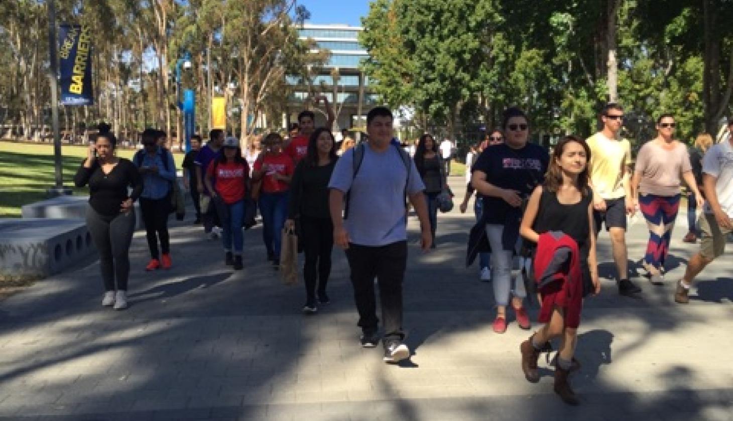 Students Walking in the University's Natural Zone