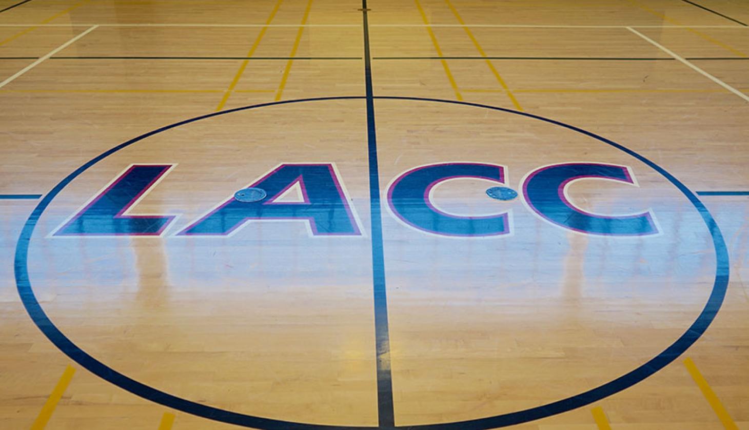 School shield on the court floor
