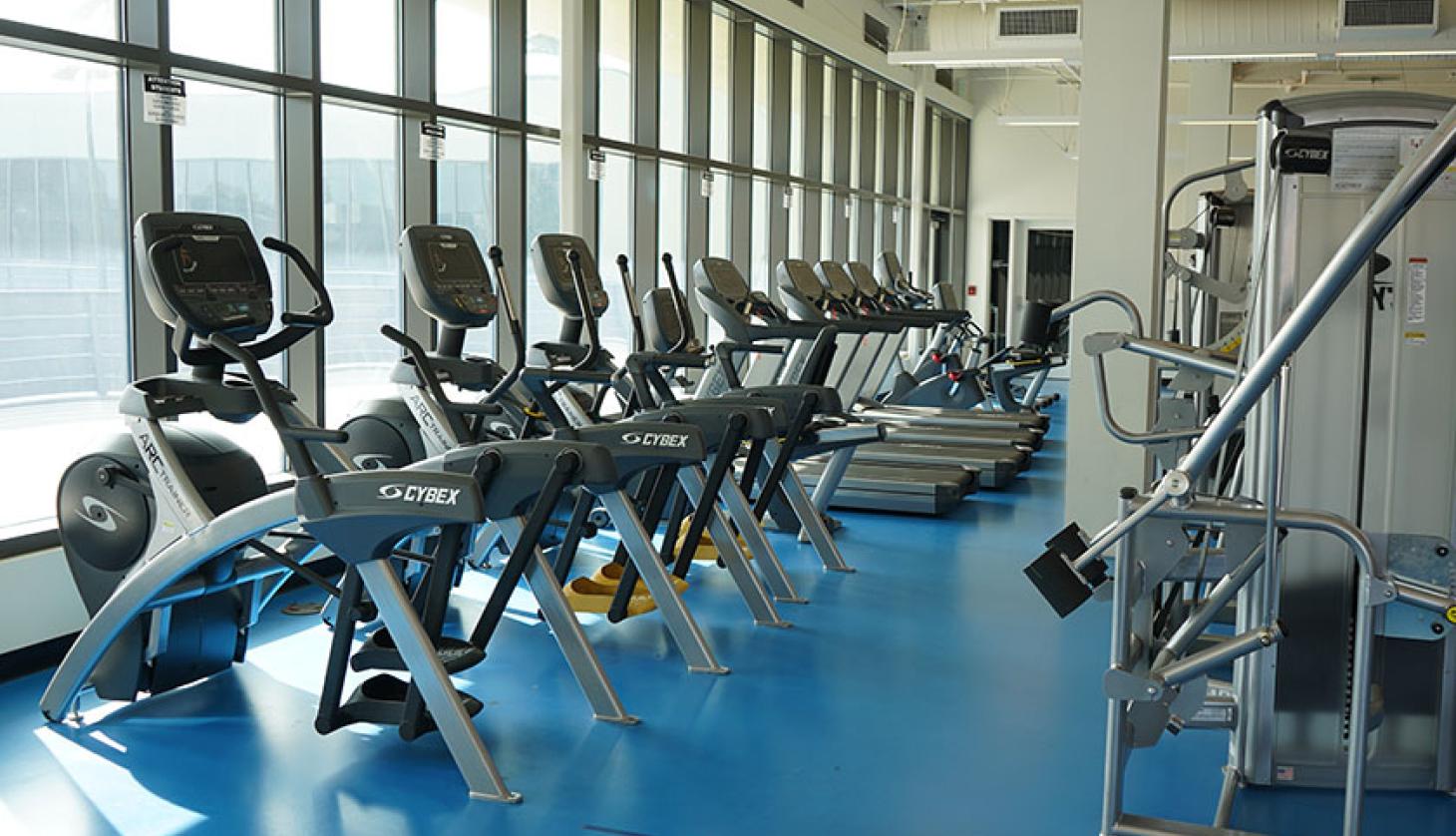 Treadmills in gym