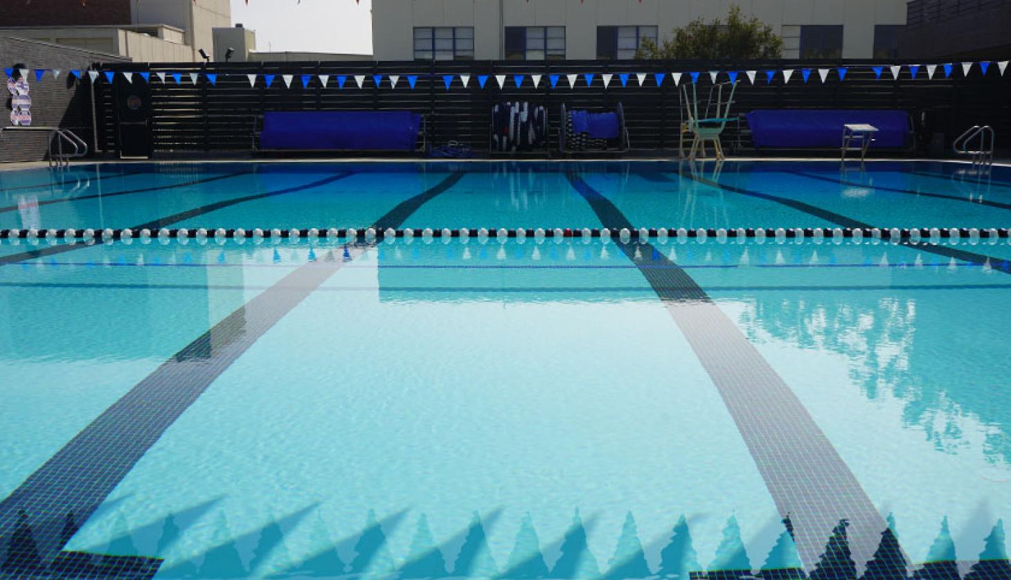 Sport pool